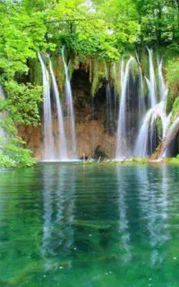 تور شمال بانوان