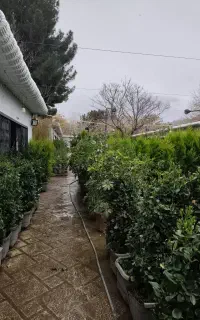 استخدام فروشنده در گل و گیاه