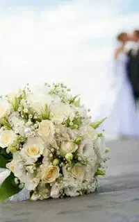 باغ تالار تشریفات