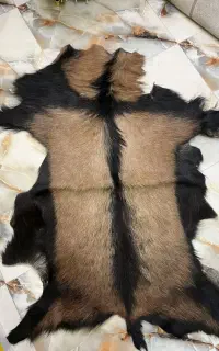 پوست بز پاکستانی دباغی(دکوراسیون منزل)
