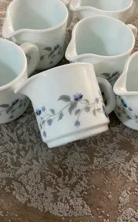 ۶عدد جا سسی آرکوپال