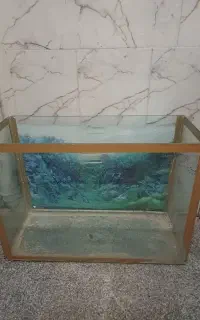 آکواریوم