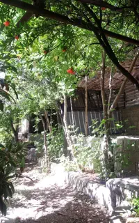 بنایی.. دیوارچینی ..