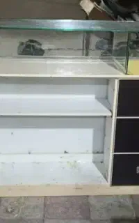 قفسه،میز ،رگال ،چوب لباسی،اتاق پروو