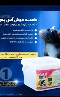 سمپاشی سوسک و موش ساس کنه