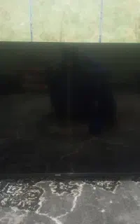 تلوزیون