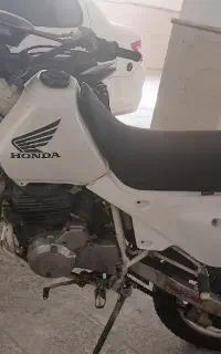 هوندا xr