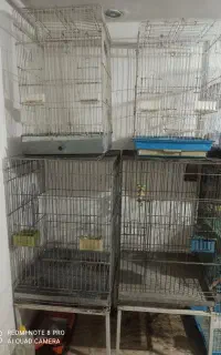 قفسه