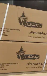 ابگرمکن دیواری بوتان 3115