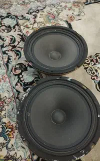 میدرنج سایز 8 کاستوم