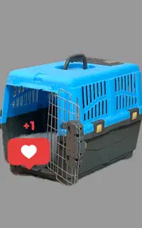 باکس حمل حیوان