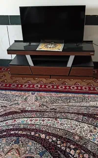زیر تلوزیون