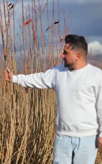 نهالستان ارقام متنوع نهال میوه وگردوهای پربار