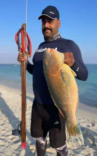 نیزه شیاری و شارکی غواصی