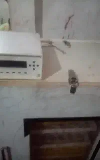 دستگاه جوجه کشی