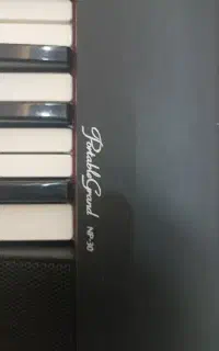 پیانو کی برد np30
