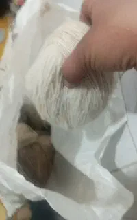 نخ گوسفندی کیلویی ۲۵۰