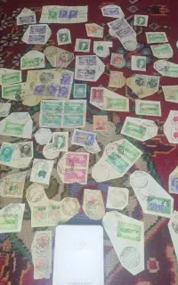 تمبر شاهی