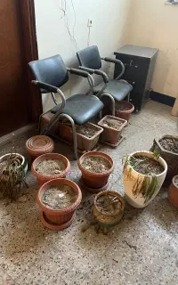تعدادی گلدان فروش یکجا