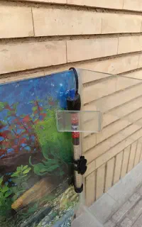 آکواریوم