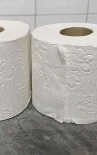 دستمال کاغذی پاپیا