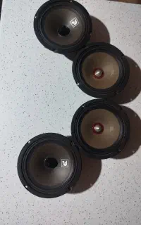 2 جفت میدرنج