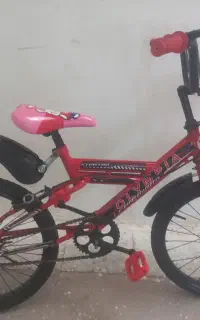 دوچرخه ۲۰ساده‌مرتب