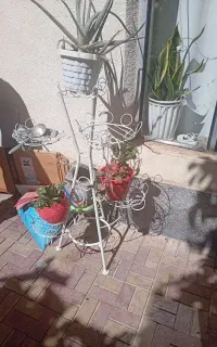 استند در حد نو