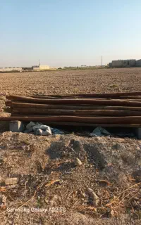 قوق چوب قدیم