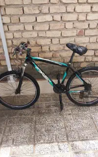 دوچرخه،فلش