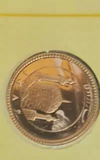 نیم سکه