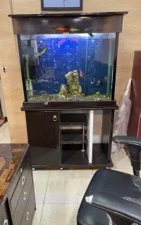 آکواریوم با میز