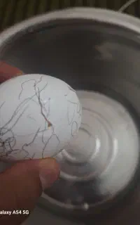 خدمات، پذیرایی مراسم