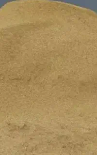 کاه دیم
