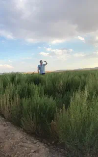 جاروی ۷۰تا ۸۰ سانتی