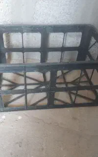 سبد میوه