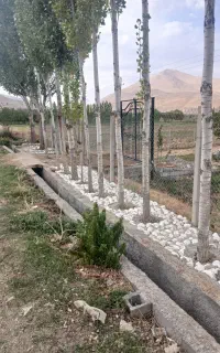 فنسی کشی باغات