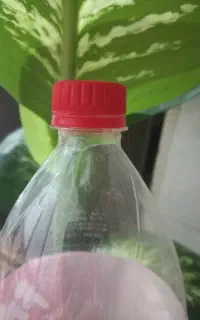 بطری نوشابه