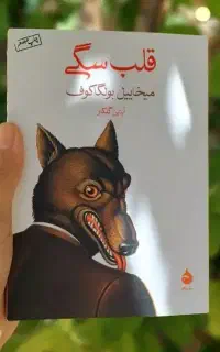 قلب سگی