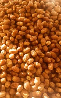 خرما زاهدی درجه یک