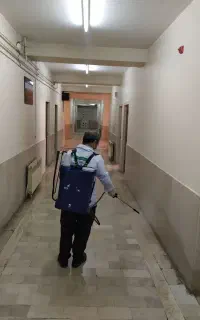 سمپاشی اماکن خانگی اداری بامجوز رسمی وزارت بهداشت
