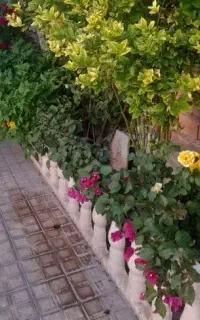 اجرای فضای سبز در در حیاط ویلایی شما