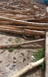 فروشی چوب خوب تیر سقفی