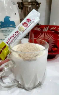 پودر جوانه گندم
