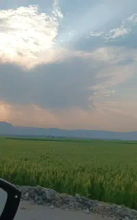 پمپ آبی چاه کشاورزی