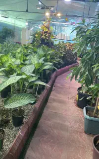 کود وسم مخصوص گیاهان