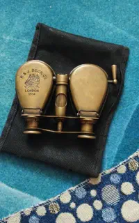 دوربین کلکسیونی