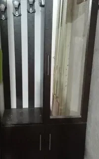 جاکفشی سالم