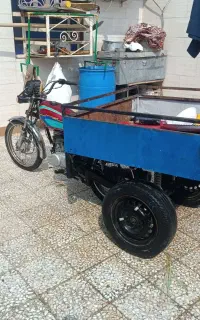 گاو