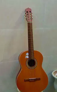گیتار پارسی m5